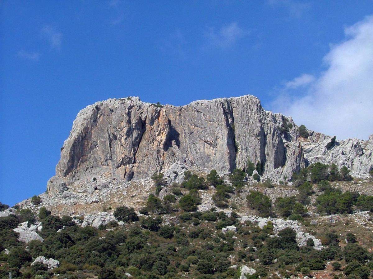 فيلا Casa El Olivo By Casaturistica Benalauría المظهر الخارجي الصورة