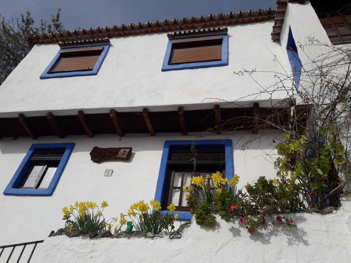 فيلا Casa El Olivo By Casaturistica Benalauría المظهر الخارجي الصورة