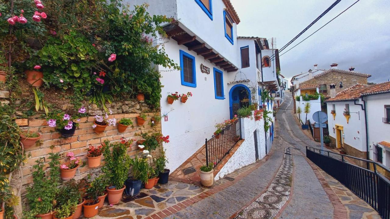 فيلا Casa El Olivo By Casaturistica Benalauría المظهر الخارجي الصورة